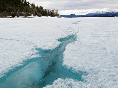被冰冻的拉贝贝格湖冰块 加拿大育空地区图片