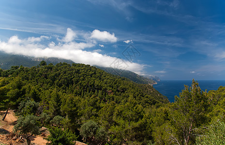 西班牙马洛卡岛 地中海观点假期海岸线海滩天空风景海景旅行图片