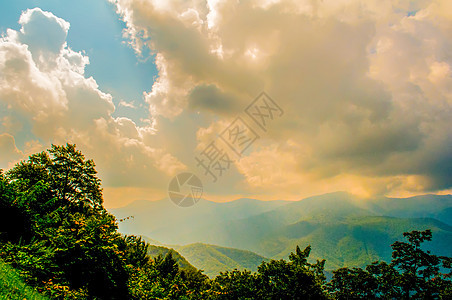 蓝海脊公园大道风景山脉花朵丘陵森林旅行视野天空荒野勘探国家山峰图片