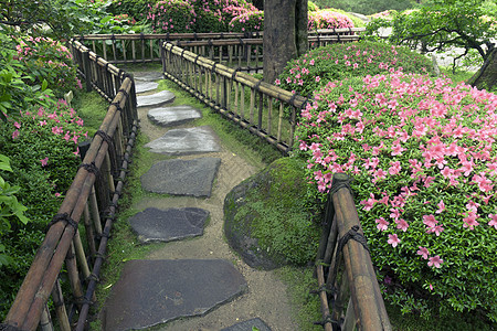 日本花园地面粉色小路途径花园石头公园脚步栅栏苔藓图片