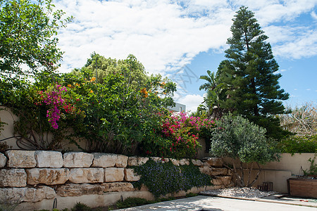 美容的地中海古典花园园艺院子花园农村奢华建筑学季节环境庭院气候背景图片