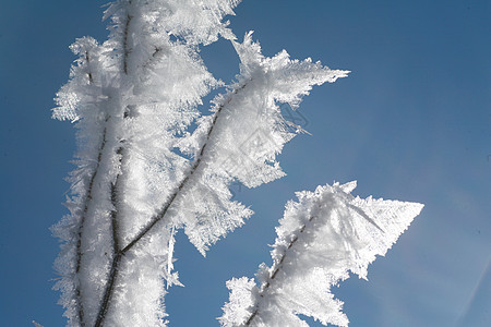 冰厂白色雪花冻结水晶太阳衬套天空天气火花蓝色图片