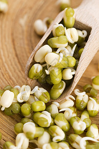 香豆食物蔬菜豆类养分竹子勺子绿色水平生长图片