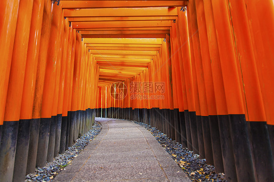 日本京都的神庙建筑旅游神社建筑学天空地标文化佛教徒寺庙观光图片