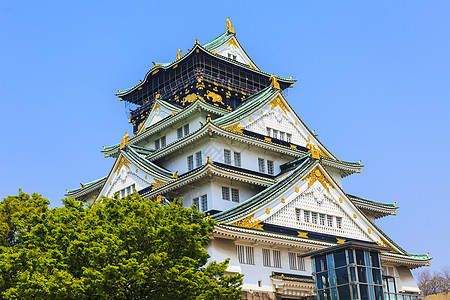 日本大阪大阪城堡天空复制品堡垒旅行遗产月亮灌木丛建筑场景观光图片
