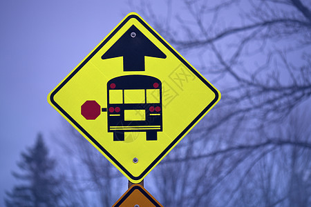 校车标志黄色路标蓝色教育公共汽车运输森林天空乡村图片