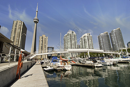 从加拿大码头对多伦多的观察中心市中心反射蓝天摩天大楼城市风景羽毛旅行景观图片