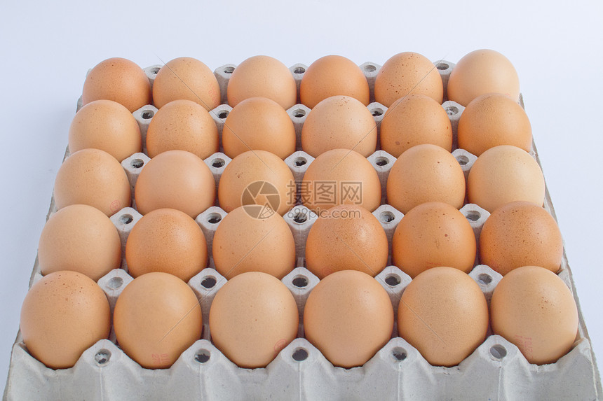 蛋影棚鸡蛋水平图片