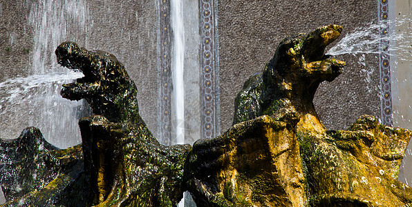 龙喷泉 埃斯特宫蒂沃利文化花园风景园林雕塑公园溪流别墅艺术旅行图片
