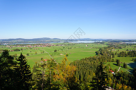 德国施旺高之路文化遗产景观城市房屋叶子蓝天旅游尖塔外表图片