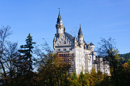 纽施旺斯坦城堡叶子观光尖塔之路建筑游客旅游城市蓝天天空图片