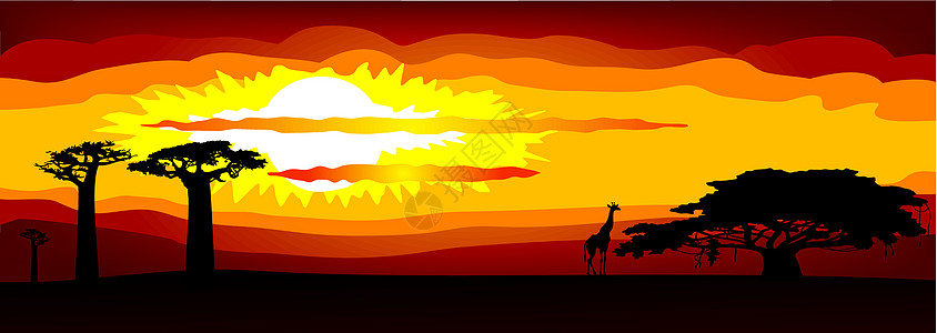 余辉非洲日落矢量晚霞天堂植物旅游旅行极光辉光红色玫瑰色太阳设计图片