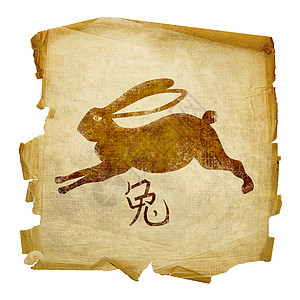 兔子Zodiac图标 孤立在白色背景上文字天文学艺术按钮动物书法莎草八字羊皮纸文化图片