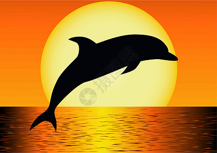 海豚环影和平插图场景太阳海浪游泳哺乳动物荒野动物野生动物图片