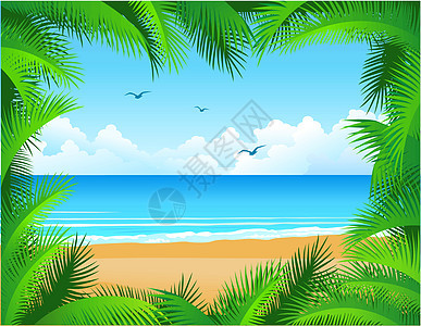 海滩背景椰子蓝色异国地平线乐趣边界假期海景支撑太阳图片