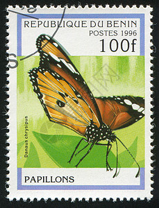 蝴蝶邮票生物学历史性漏洞热带古董邮件集邮邮戳动物图片