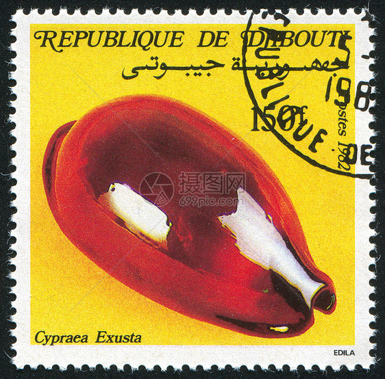 贝壳动物古董邮资邮戳海洋螺旋邮件邮票热带历史性图片