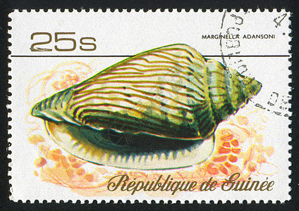 贝壳环境信封野生动物集邮邮资螺旋动物海洋邮件邮戳图片