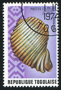 贝壳热带螺旋环境动物野生动物邮戳集邮邮票明信片邮件图片