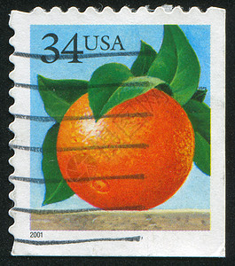 橙色农作物食物邮件邮资胎儿味道邮戳水果信封叶子图片