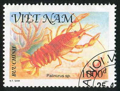 龙虾邮件邮票眼睛信封小龙虾历史性尾巴珊瑚钳子贝类图片
