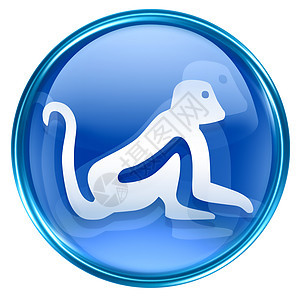猴子Zodiac图标蓝色 孤立在白色背景上宇宙汉子玻璃反射日历圆形八字生日书法十二生肖图片