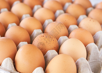 鸡蛋的托盘纸板生产免费范围市场黄色饮食椭圆形营养棕色图片