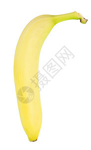 白背景孤立的里普香蕉热带丛林蔬菜皮肤营养美食水果黄色食物白色图片