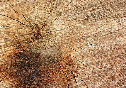 木质纹理 可以用作背景材料棕色戒指宏观树干木材同心生活圆圈木头森林图片