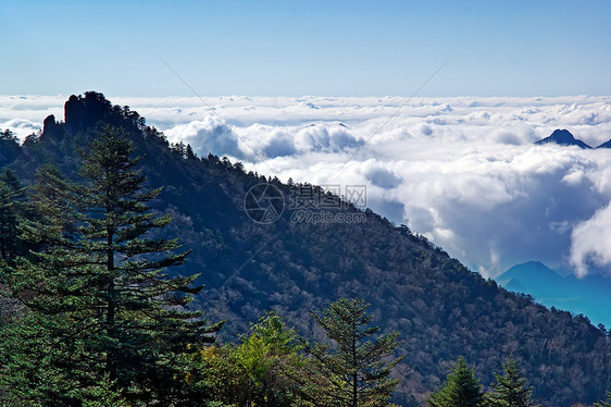 山峰 树木 云山脉森林旅游松树图片