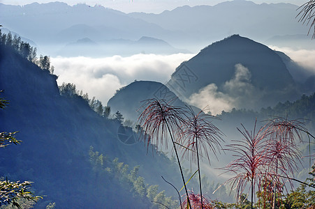 中国广西源县的美丽风景 山丘和云 中国环保山脉绿色芦苇旅游生态图片
