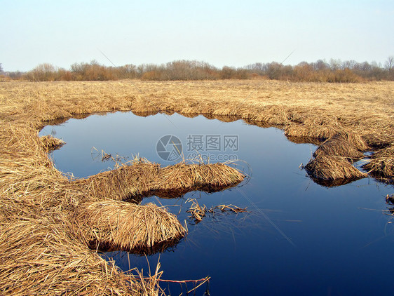 在黄干草药草间田地上的小湖图片