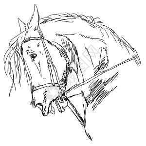 黑马自由野马草图竞赛卡通片马背力量展览马具插图图片