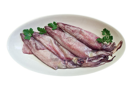 盘子里的新鲜鱿鱼 在白色上隔离乌贼美食矮人食物烹饪香菜平底锅食品柠檬海洋图片