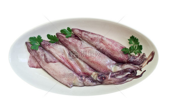 盘子里的新鲜鱿鱼 在白色上隔离乌贼美食矮人食物烹饪香菜平底锅食品柠檬海洋图片