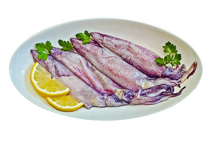 盘子里的新鲜鱿鱼 在白色上隔离乌贼食物目鱼海洋食品柠檬鱼片小便代谢矮人图片
