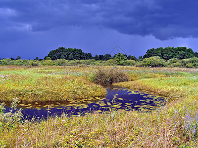 雷暴前黄色秋天田地上的小溪流图片