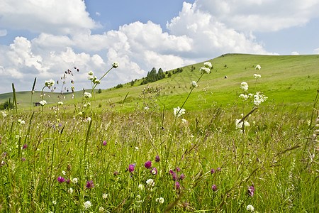 麓山忠烈祠夏季草地阳光好天气晴天爬坡收成上坡天空农民农业蓝色背景