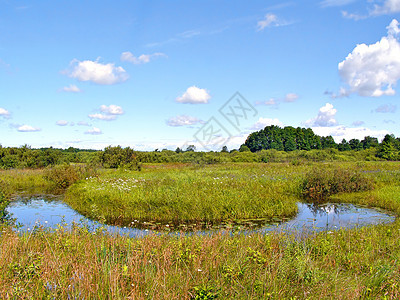田间河岸上红色草本植物灌木丛乡村地平线流动绿色河床多云天空图片