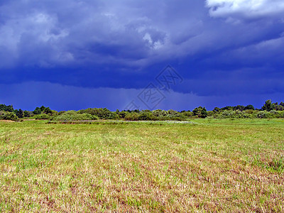 雷暴前的公鸡字段远景草地季节环境草本植物雷雨场地森林天空蓝色图片