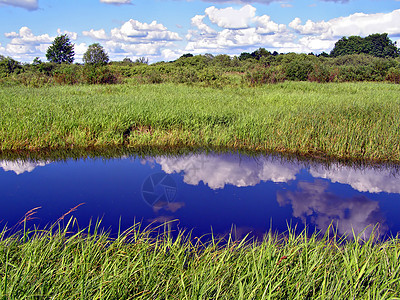 田间小河荒野蓝色风景叶子公园荷花海滩反射季节远景图片