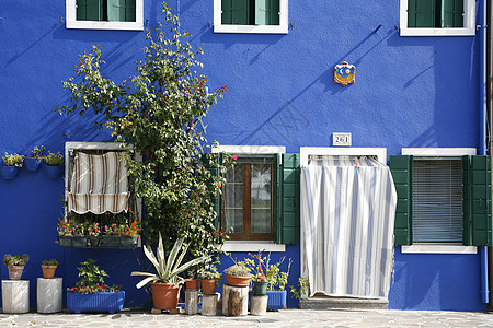 布鲁诺蓝房子图片
