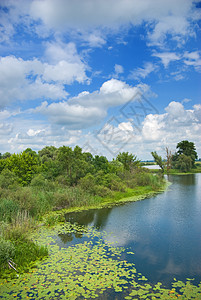 森林湖城市树木场景假期全景支撑海岸线反射植物蓝色图片
