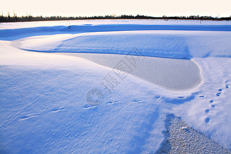 冬季风景纸牌天气国家树木天空寒意季节石头雪景场景图片