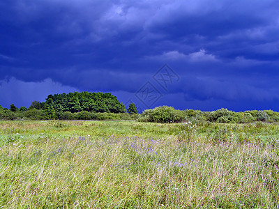 暴风雨前的草地森林远景反射墙纸天空蓝色环境场地植物群叶子图片