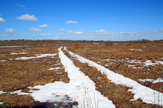 雪雪路木头场地阴影衬套草地天空寒意森林树叶季节图片