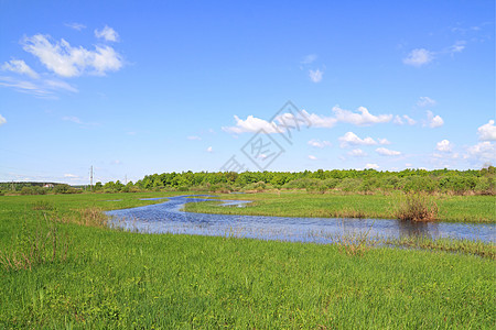 田间河岸上河床绿色天空场地森林木头反射地平线乡村海岸图片