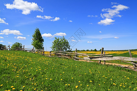 沿公路的旧围栏风化栅栏牧场场地木材鲜花植物沙漠天空乡村图片