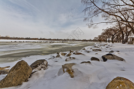冰冻湖天空海景支撑树木场景图片