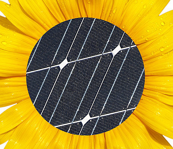 能源概念细胞力量花瓣光伏花园电气太阳活力植物学植物图片